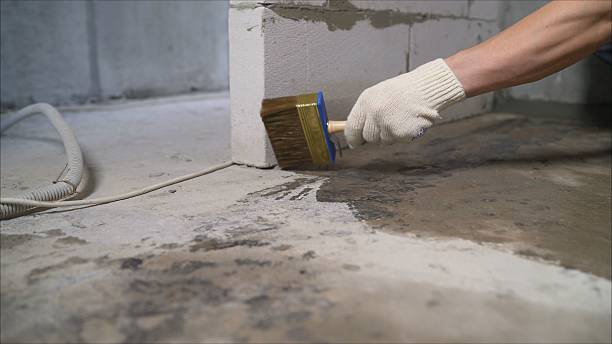 SJ Waterproofing Pros Crawl Space Encapsulation coverage map for Leoma, TN and surrounding area